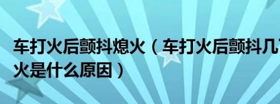车打火后颤抖熄火（车打火后颤抖几下然后熄火是什么原因）