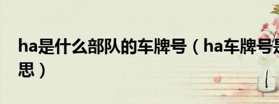 ha是什么部队的车牌号（ha车牌号是什么意思）
