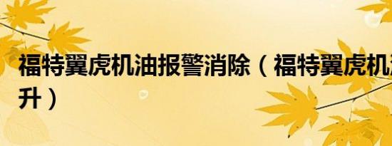 福特翼虎机油报警消除（福特翼虎机油加多少升）