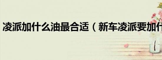 凌派加什么油最合适（新车凌派要加什么油）