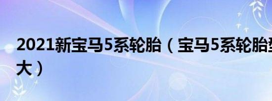 2021新宝马5系轮胎（宝马5系轮胎型号是多大）