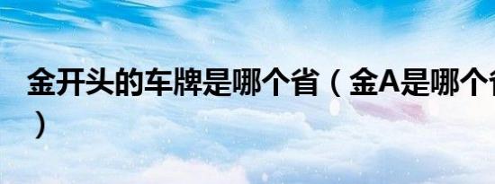 金开头的车牌是哪个省（金A是哪个省的车牌）