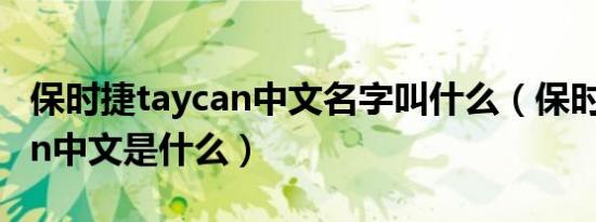 保时捷taycan中文名字叫什么（保时捷taycan中文是什么）