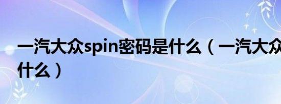 一汽大众spin密码是什么（一汽大众SPIN是什么）