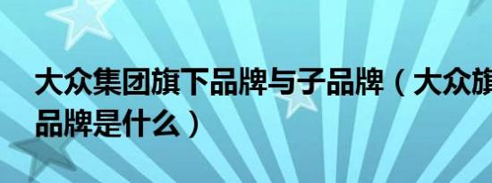 大众集团旗下品牌与子品牌（大众旗下13个品牌是什么）