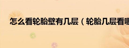 怎么看轮胎壁有几层（轮胎几层看哪里）