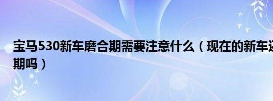 宝马530新车磨合期需要注意什么（现在的新车还需要磨合期吗）