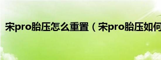 宋pro胎压怎么重置（宋pro胎压如何复位）