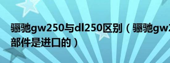骊驰gw250与dl250区别（骊驰gw250哪些部件是进口的）