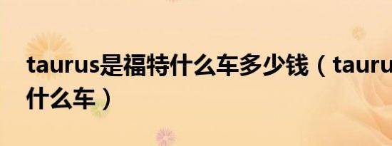 taurus是福特什么车多少钱（taurus是福特什么车）