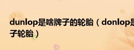 dunlop是啥牌子的轮胎（donlop是什么牌子轮胎）