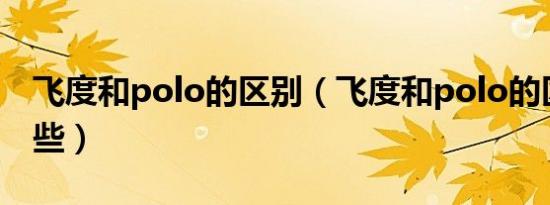 飞度和polo的区别（飞度和polo的区别有哪些）