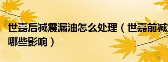 世嘉后减震漏油怎么处理（世嘉前减震漏油有哪些影响）