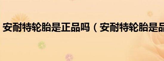 安耐特轮胎是正品吗（安耐特轮胎是品牌吗）