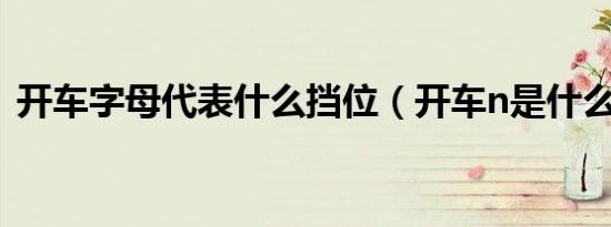 开车字母代表什么挡位（开车n是什么挡位）