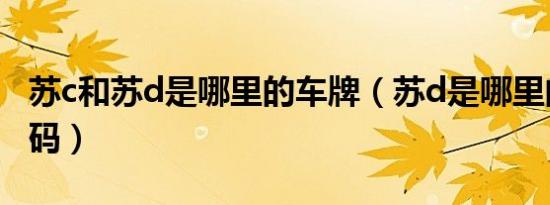 苏c和苏d是哪里的车牌（苏d是哪里的车牌号码）