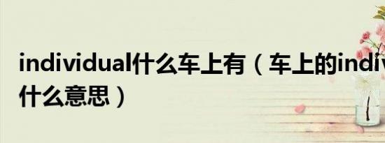 individual什么车上有（车上的individual是什么意思）