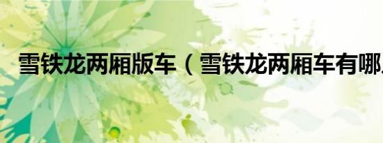 雪铁龙两厢版车（雪铁龙两厢车有哪几款）