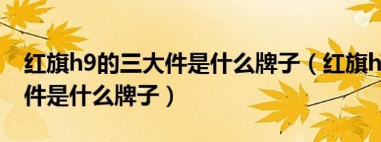 红旗h9的三大件是什么牌子（红旗h9的三大件是什么牌子）