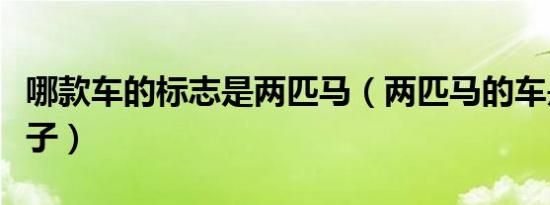 哪款车的标志是两匹马（两匹马的车是什么牌子）
