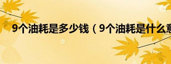 9个油耗是多少钱（9个油耗是什么意思）
