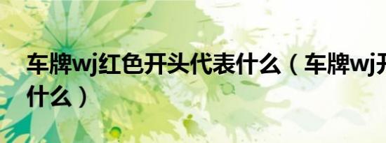 车牌wj红色开头代表什么（车牌wj开头代表什么）
