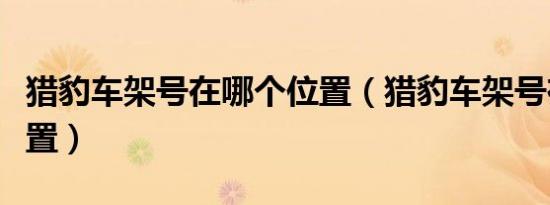 猎豹车架号在哪个位置（猎豹车架号在哪个位置）