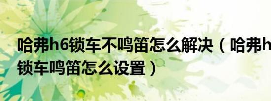 哈弗h6锁车不鸣笛怎么解决（哈弗h6运动版锁车鸣笛怎么设置）