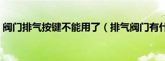 阀门排气按键不能用了（排气阀门有什么用）
