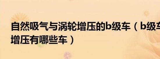 自然吸气与涡轮增压的b级车（b级车带涡轮增压有哪些车）