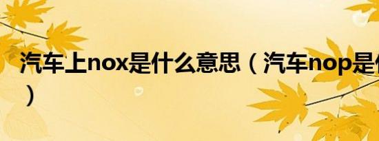 汽车上nox是什么意思（汽车nop是什么意思）
