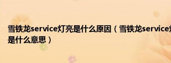 雪铁龙service灯亮是什么原因（雪铁龙service灯一直亮着是什么意思）