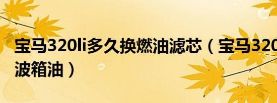 宝马320li多久换燃油滤芯（宝马320li多久换波箱油）
