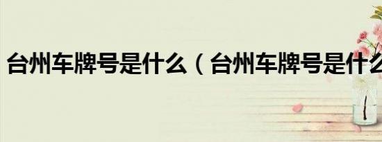 台州车牌号是什么（台州车牌号是什么字母）
