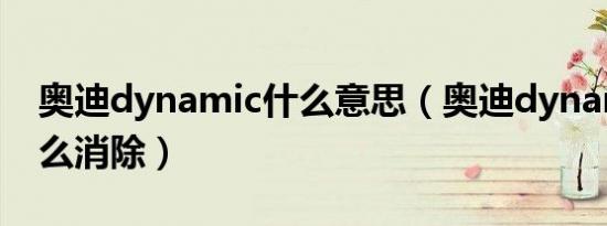 奥迪dynamic什么意思（奥迪dynamic亮怎么消除）