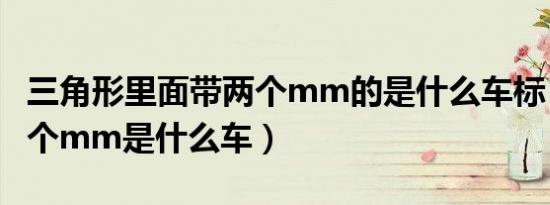 三角形里面带两个mm的是什么车标（车标两个mm是什么车）
