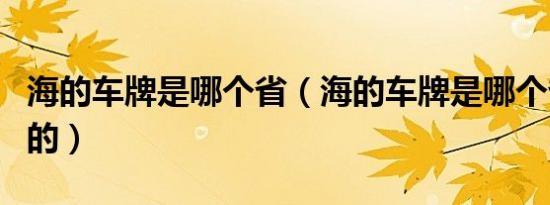 海的车牌是哪个省（海的车牌是哪个省哪个市的）