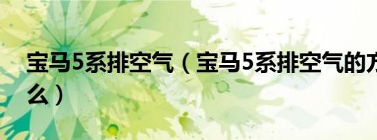 宝马5系排空气（宝马5系排空气的方法是什么）
