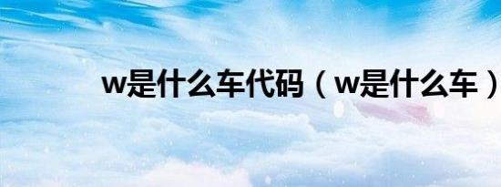 w是什么车代码（w是什么车）