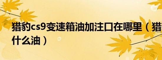 猎豹cs9变速箱油加注口在哪里（猎豹cs9用什么油）