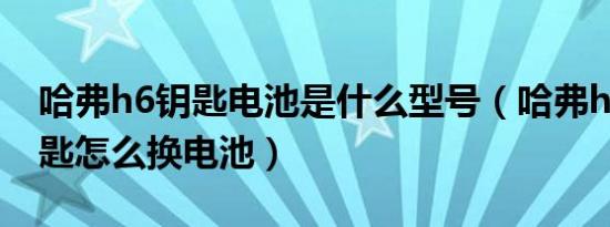 哈弗h6钥匙电池是什么型号（哈弗h6遥控钥匙怎么换电池）