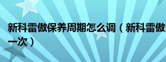 新科雷傲保养周期怎么调（新科雷傲多久保养一次）