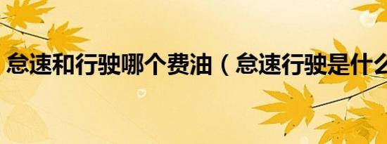 怠速和行驶哪个费油（怠速行驶是什么意思）