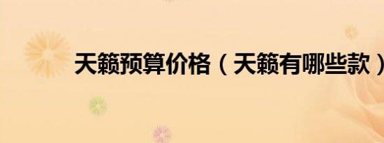 天籁预算价格（天籁有哪些款）
