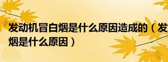 发动机冒白烟是什么原因造成的（发动机冒白烟是什么原因）