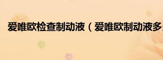 爱唯欧检查制动液（爱唯欧制动液多久换）