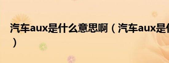 汽车aux是什么意思啊（汽车aux是什么意思）