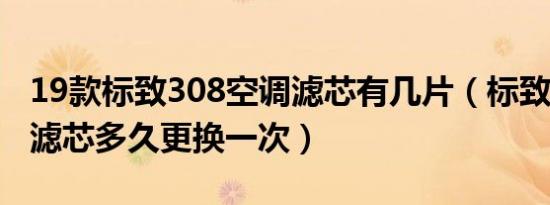 19款标致308空调滤芯有几片（标致308空调滤芯多久更换一次）