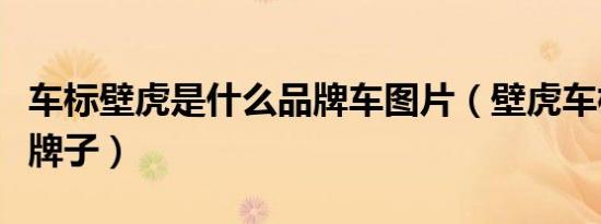 车标壁虎是什么品牌车图片（壁虎车标是什么牌子）