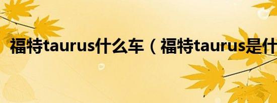 福特taurus什么车（福特taurus是什么车）